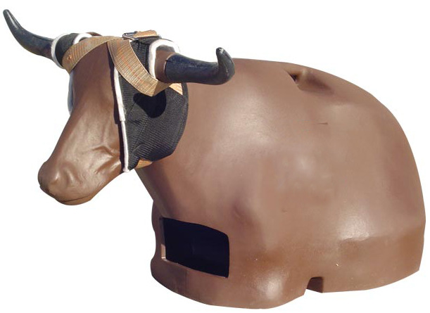 Calf Roping Stationary Cowboy Challenge - Toronto, Mississauga, Brampton, Hamilton, Ottawa, Ontario